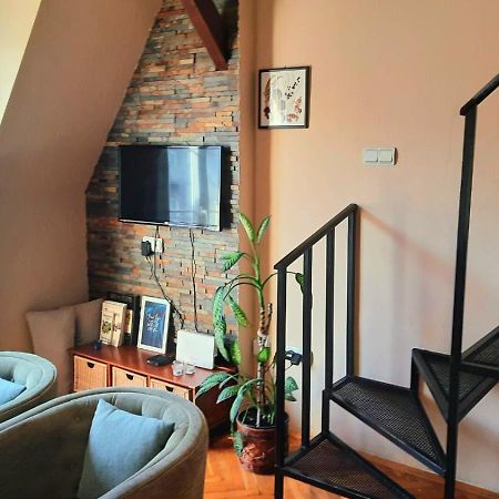 Duplex Studio Mansarda Lägenhet Belgrad Exteriör bild
