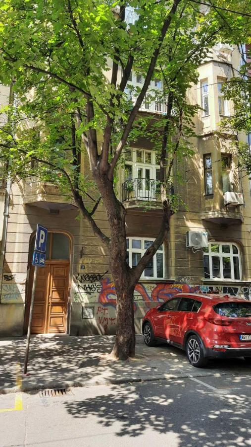 Duplex Studio Mansarda Lägenhet Belgrad Exteriör bild