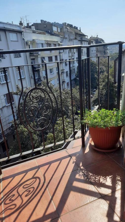 Duplex Studio Mansarda Lägenhet Belgrad Exteriör bild